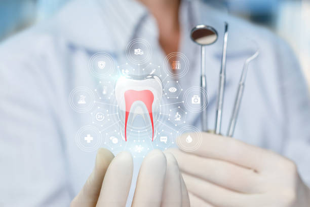 Best Preventive Dentistry  in Rock Hall, MD